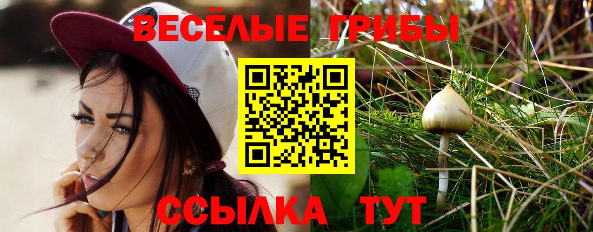 Ачинск  Псилоцибиновые грибы Psilocybine cubensis  Вход с VPN 
